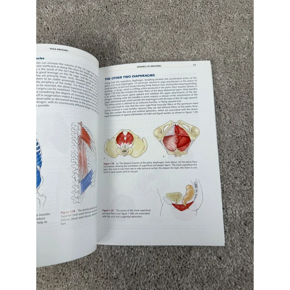 Yoga Anatomy Second Edition by Leslie Kaminoff & Amy Matthews Illustrated Guide